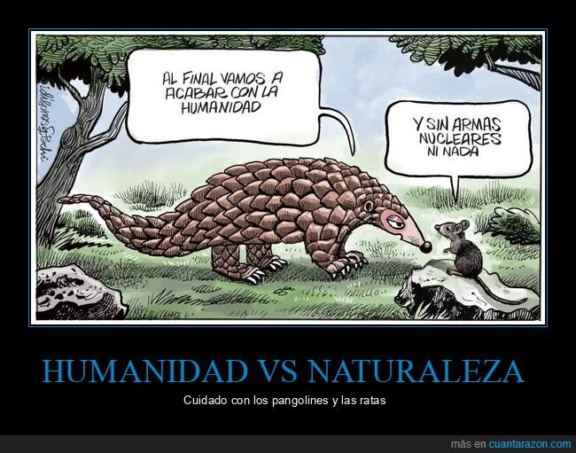 extinción,naturaleza,humanidad,pangolín,apocalipsis